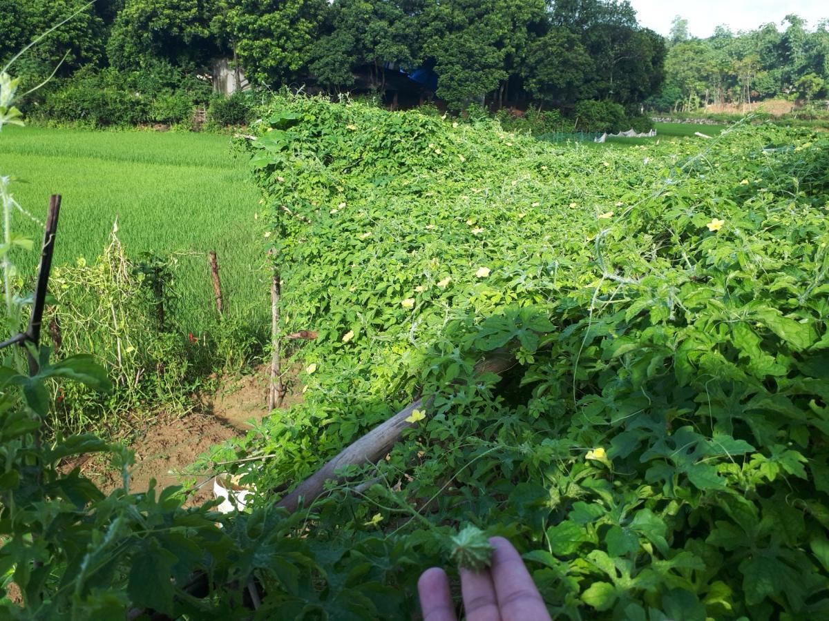 Meadow Mai Chau Homestay Dış mekan fotoğraf