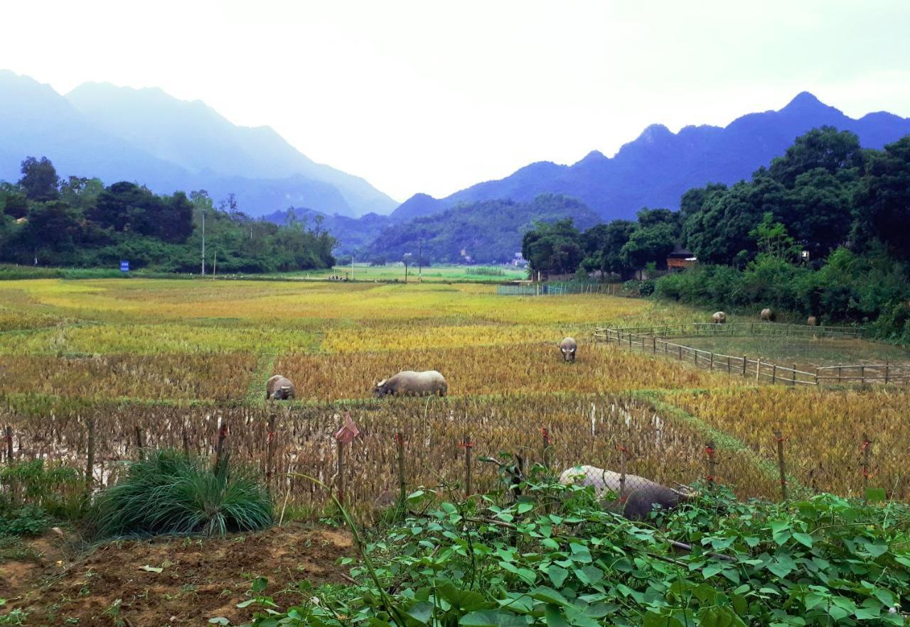 Meadow Mai Chau Homestay Dış mekan fotoğraf