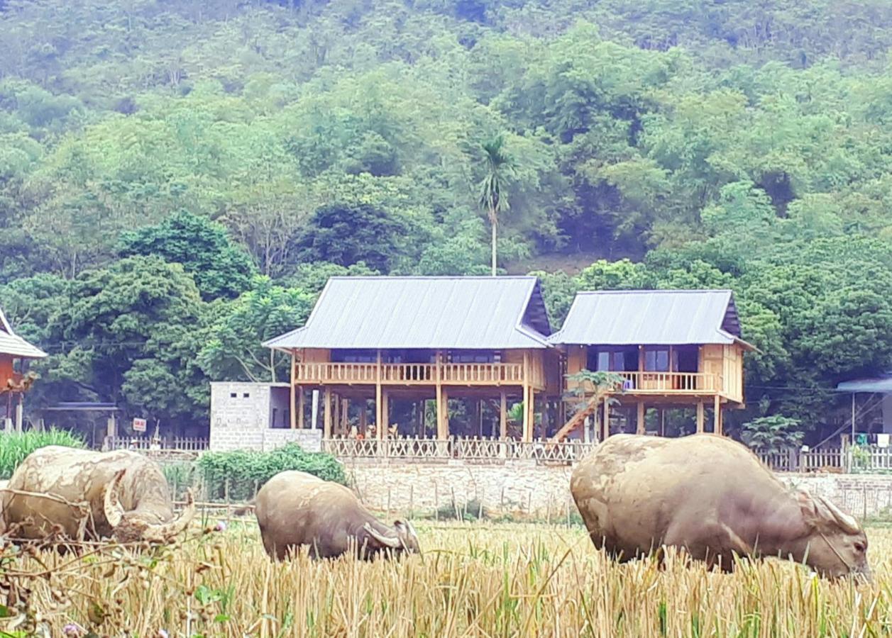 Meadow Mai Chau Homestay Dış mekan fotoğraf