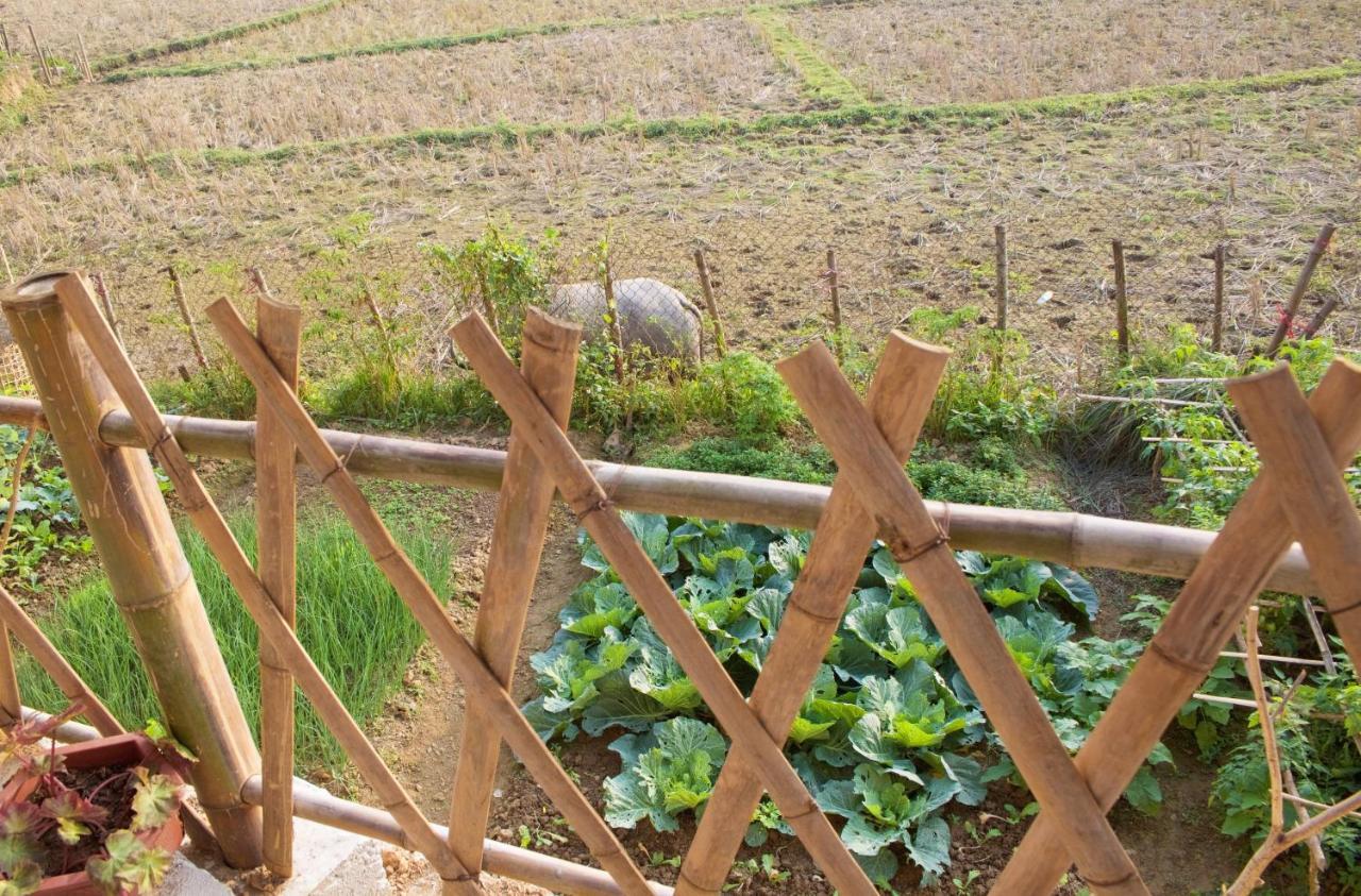 Meadow Mai Chau Homestay Dış mekan fotoğraf