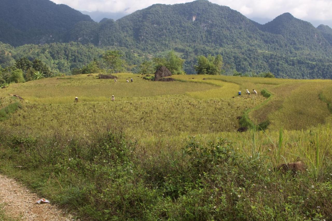 Meadow Mai Chau Homestay Dış mekan fotoğraf