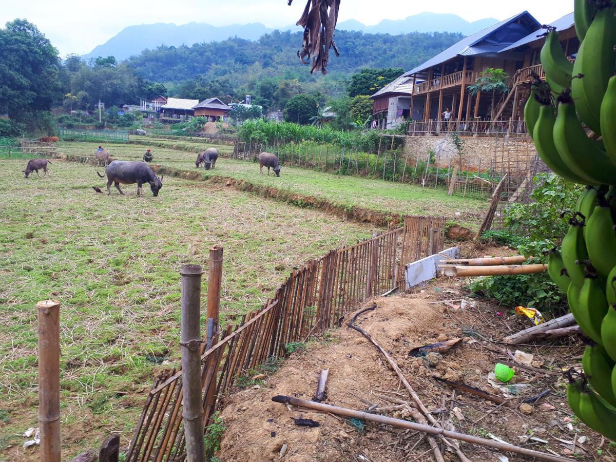 Meadow Mai Chau Homestay Dış mekan fotoğraf